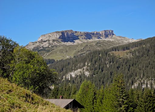 undefined Foto: Kleinwalsertal Tourismus