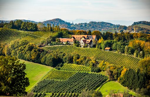 Genießerhotel & Weingut Sattlerhof