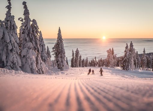 undefined Foto: OÖ Tourismus, Moritz Ablinger