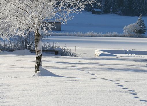 undefined Foto: TVB Weißensee