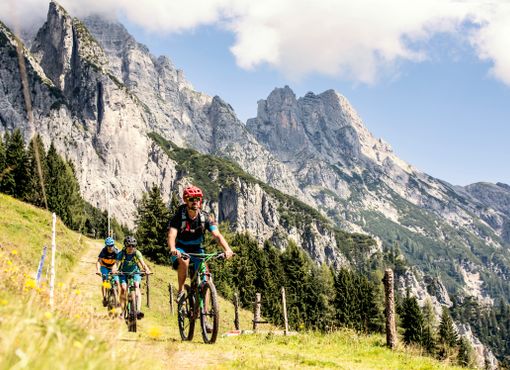 undefined Foto: TVB Saalfelden Leogang 